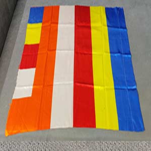 Panchsheel Flag